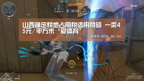 爱体育